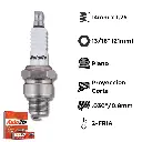 Bujías Autolite Cobre X4 -NGK BR7HS